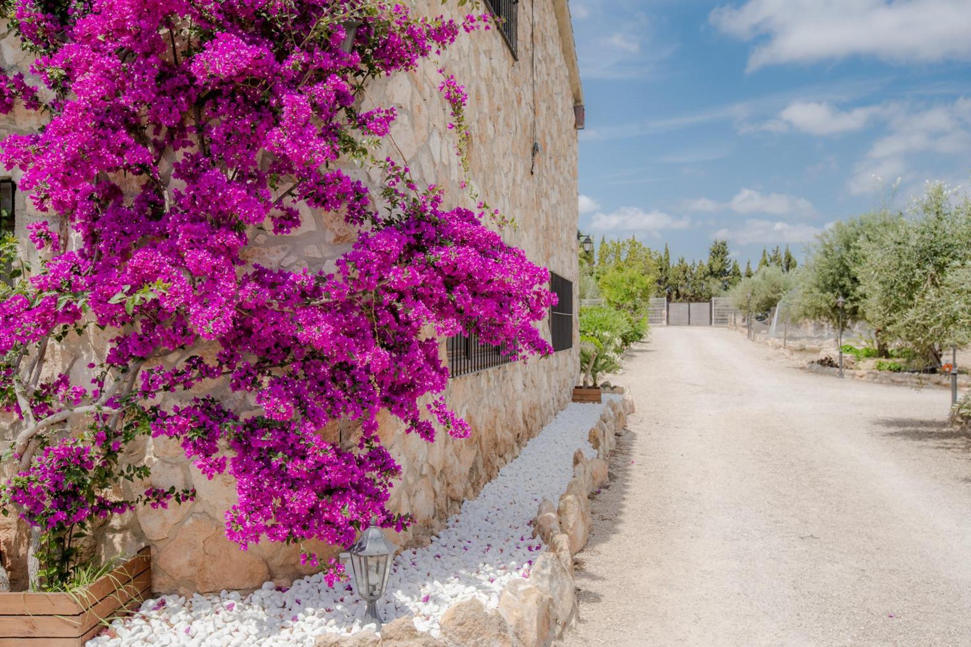Villa Rural Avril Camarles المظهر الخارجي الصورة