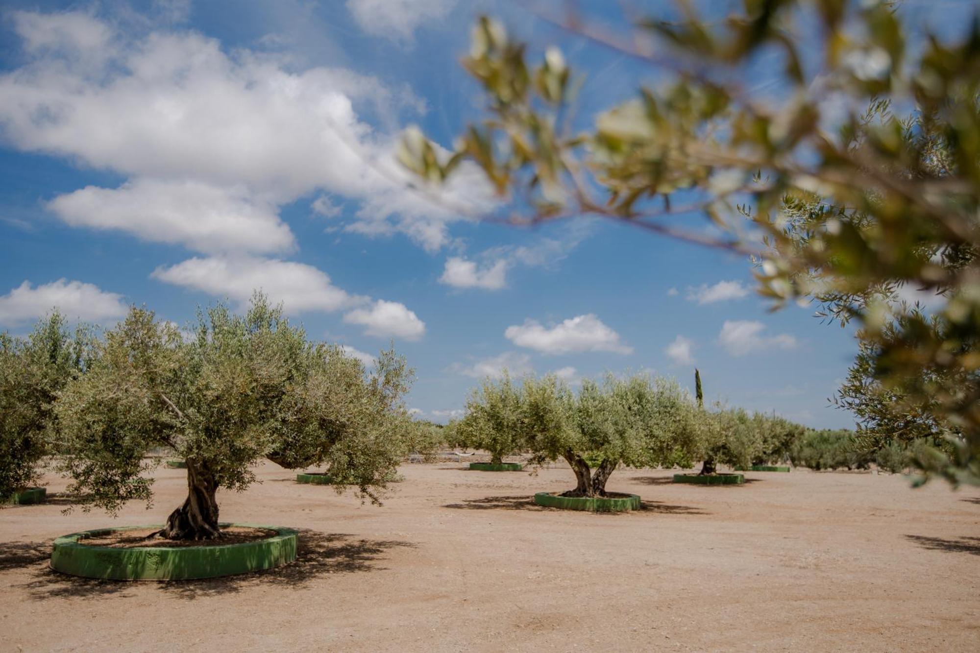 Villa Rural Avril Camarles المظهر الخارجي الصورة